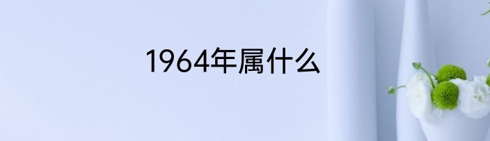 1964年属什么