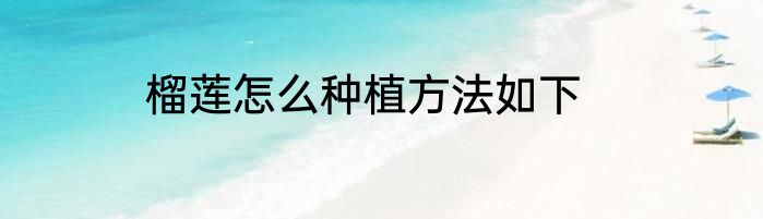 榴莲怎么种植方法如下