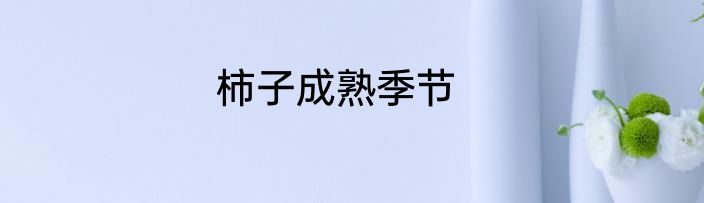柿子成熟季节
