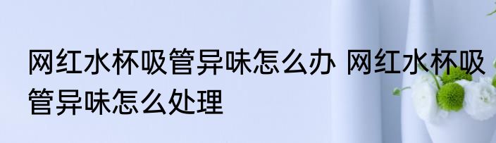 网红水杯吸管异味怎么办 网红水杯吸管异味怎么处理
