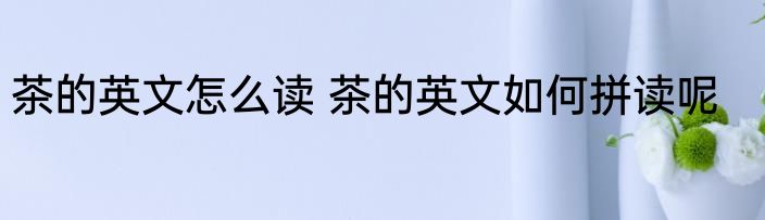 茶的英文怎么读 茶的英文如何拼读呢