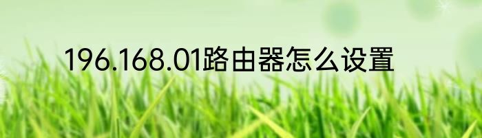 196.168.01路由器怎么设置