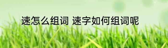 速怎么组词 速字如何组词呢