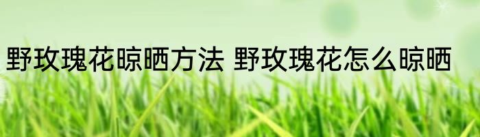 野玫瑰花晾晒方法 野玫瑰花怎么晾晒