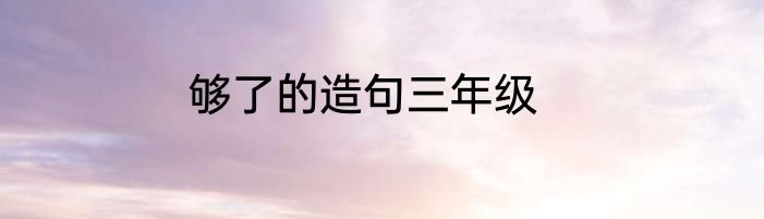够了的造句三年级