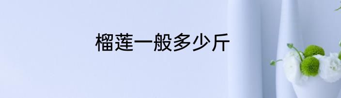 榴莲一般多少斤