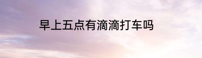 早上五点有滴滴打车吗