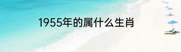 1955年的属什么生肖