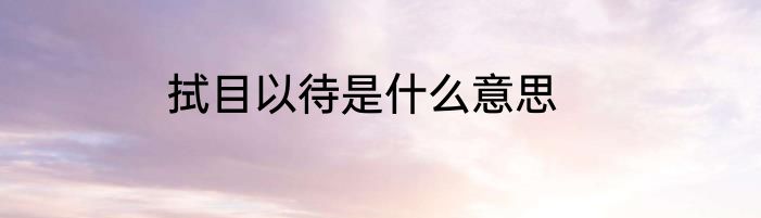 拭目以待是什么意思
