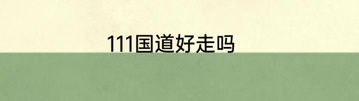 111国道好走吗
