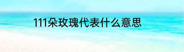 111朵玫瑰代表什么意思