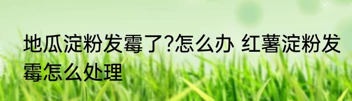 地瓜淀粉发霉了?怎么办 红薯淀粉发霉怎么处理