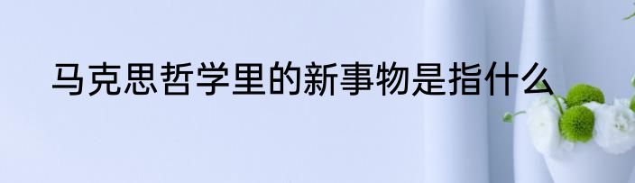 马克思哲学里的新事物是指什么