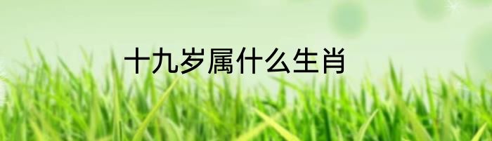 十九岁属什么生肖