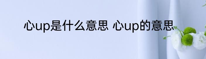 心up是什么意思 心up的意思