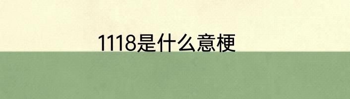 1118是什么意梗