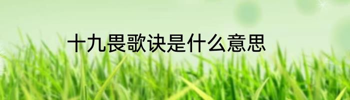 十九畏歌诀是什么意思