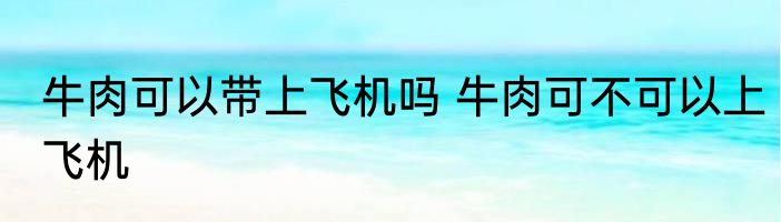 牛肉可以带上飞机吗 牛肉可不可以上飞机