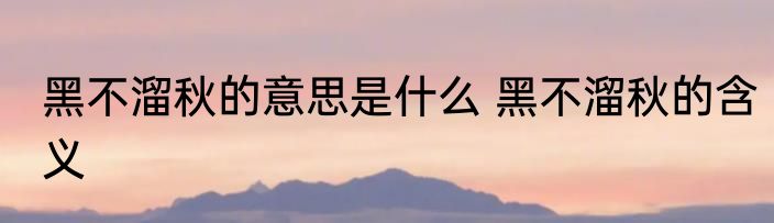 黑不溜秋的意思是什么 黑不溜秋的含义