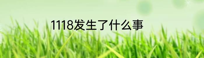 1118发生了什么事