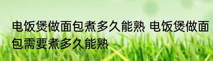 电饭煲做面包煮多久能熟 电饭煲做面包需要煮多久能熟