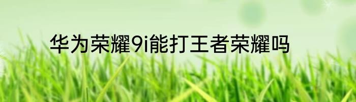 华为荣耀9i能打王者荣耀吗