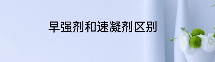 早强剂和速凝剂区别
