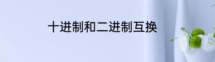 十进制和二进制互换