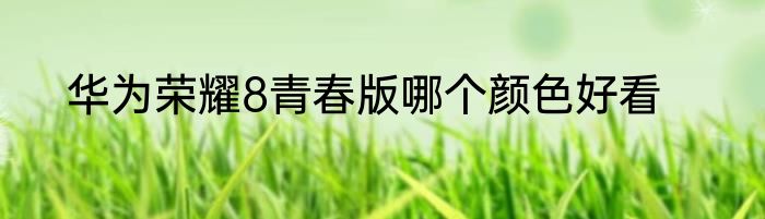 华为荣耀8青春版哪个颜色好看