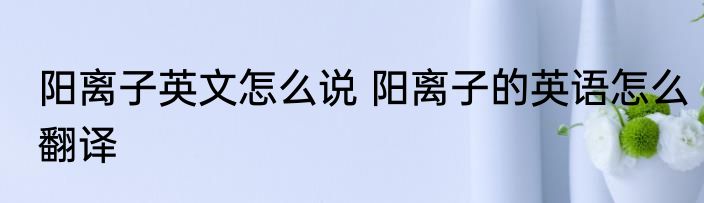 阳离子英文怎么说 阳离子的英语怎么翻译