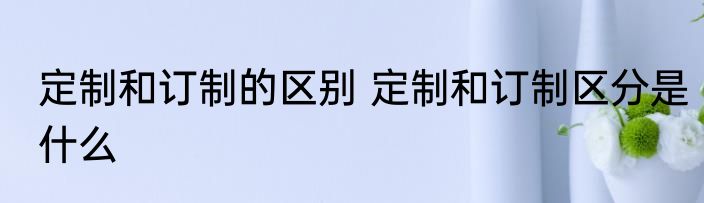 定制和订制的区别 定制和订制区分是什么