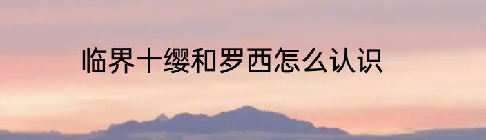 临界十缨和罗西怎么认识