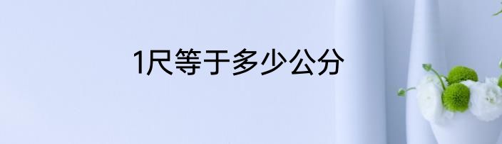1尺等于多少公分