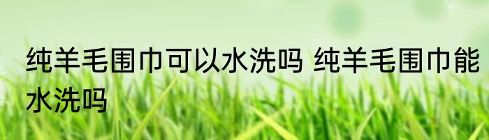 纯羊毛围巾可以水洗吗 纯羊毛围巾能水洗吗