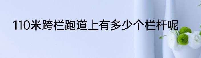110米跨栏跑道上有多少个栏杆呢