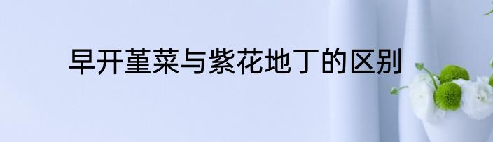 早开堇菜与紫花地丁的区别