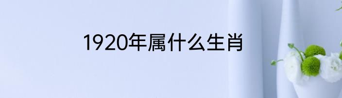 1920年属什么生肖
