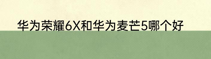 华为荣耀6X和华为麦芒5哪个好