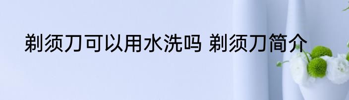 剃须刀可以用水洗吗 剃须刀简介