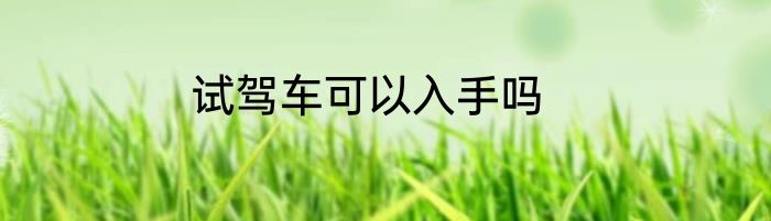 试驾车可以入手吗