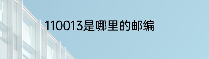 110013是哪里的邮编