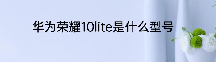 华为荣耀10lite是什么型号