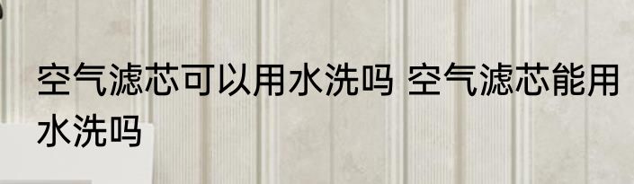 空气滤芯可以用水洗吗 空气滤芯能用水洗吗