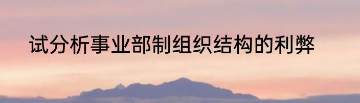 试分析事业部制组织结构的利弊