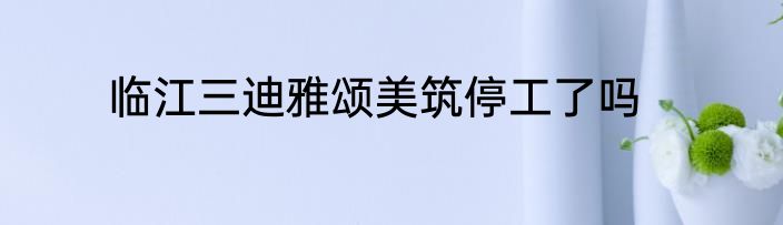 临江三迪雅颂美筑停工了吗