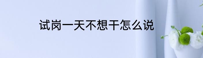 试岗一天不想干怎么说