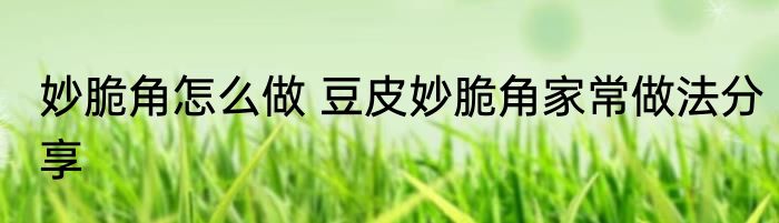 妙脆角怎么做 豆皮妙脆角家常做法分享