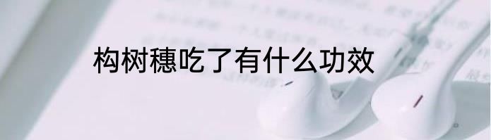 构树穗吃了有什么功效