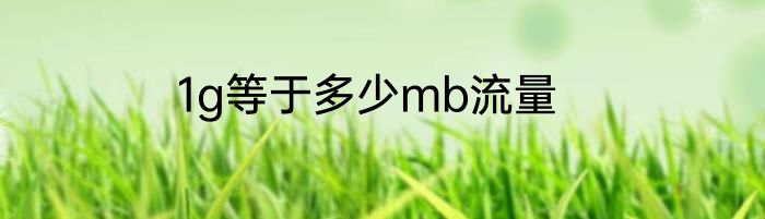 1g等于多少mb流量