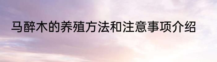 马醉木的养殖方法和注意事项介绍